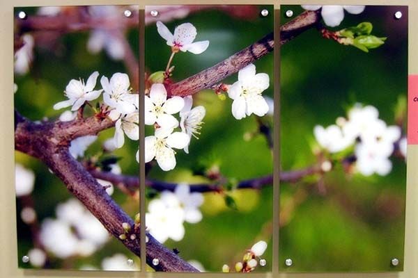  - Image360-Plymouth-AcrylicDisplays-ProfessionalServices (2)